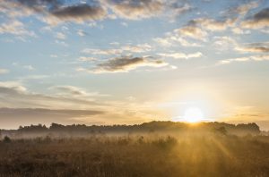 Pope Francis with Charismatic catholic renewal 2015 july 3