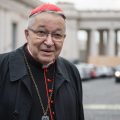 Cardinal André Vingt-Trois