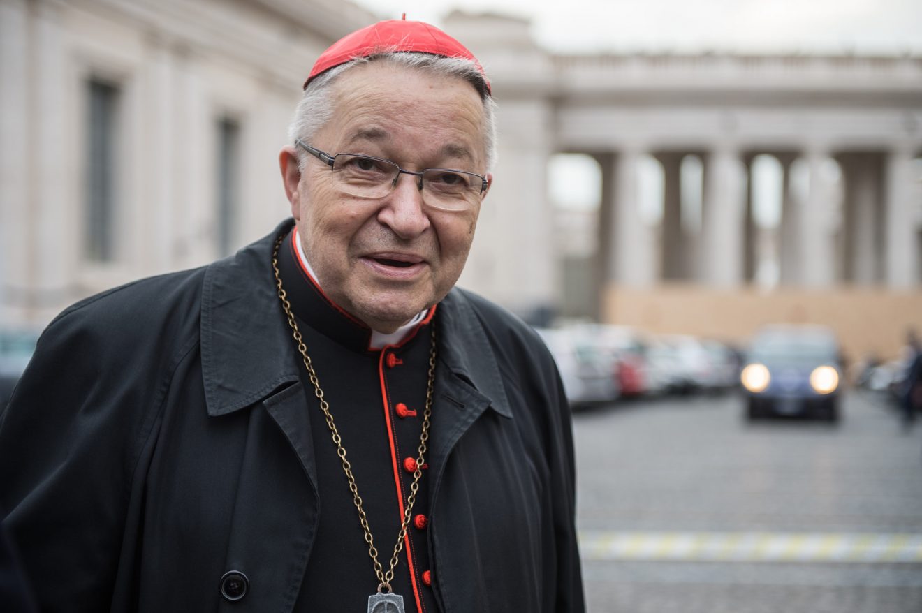 Cardinal André Vingt-Trois