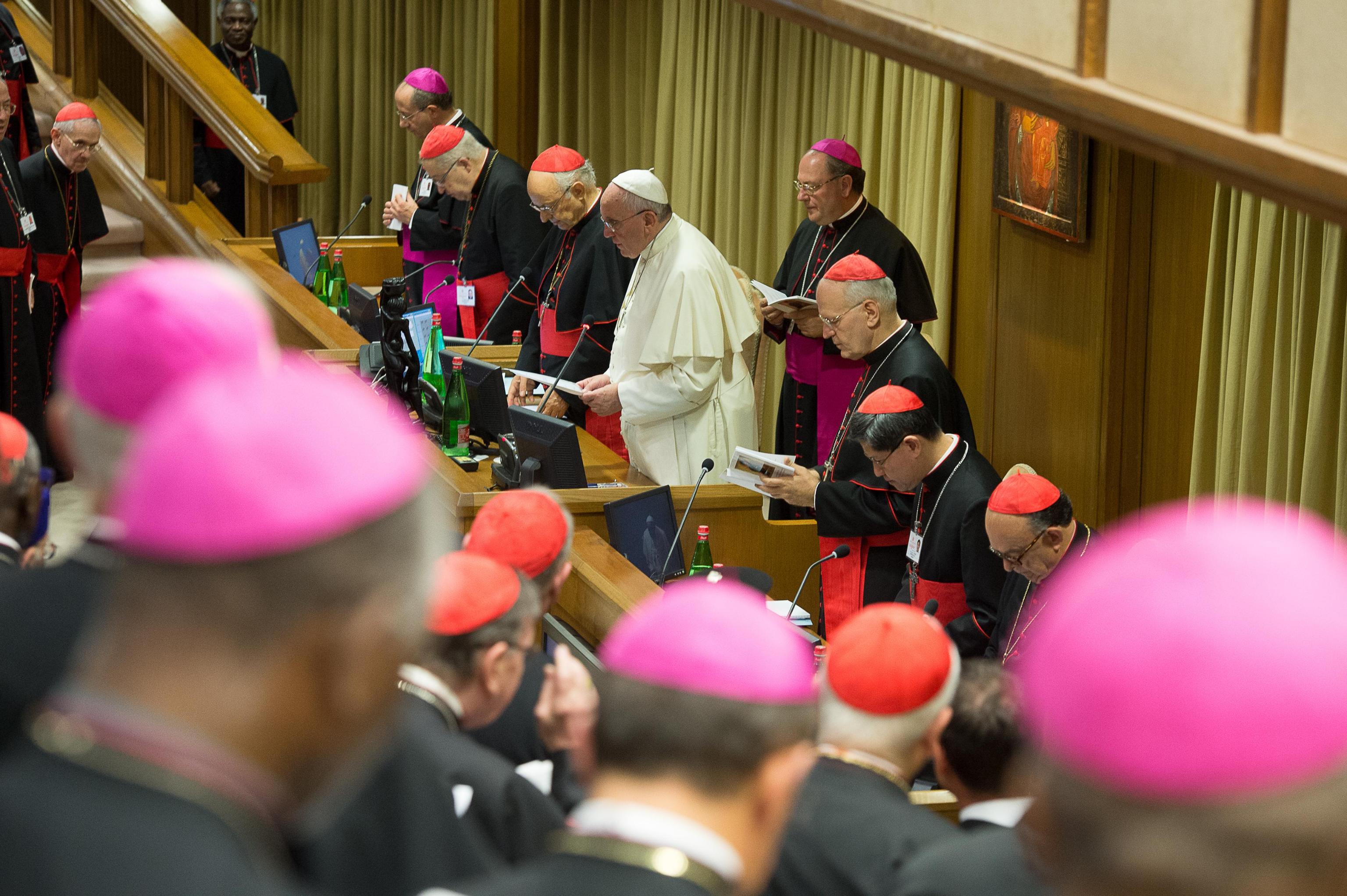Synode des évêques sur la famille (1re session, 2014).