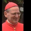 Cardinal Angelo Amato