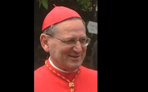 Cardinal Angelo Amato