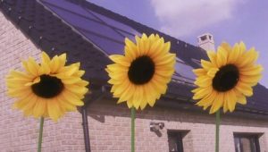 Energies renouvelables, Photo cef.fr