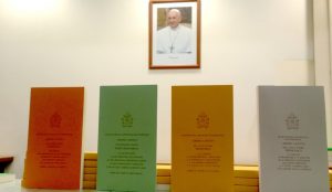 Amoris laetitia, ZENIT - HSM