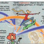 Les contradictions de Philon, par Brunor
