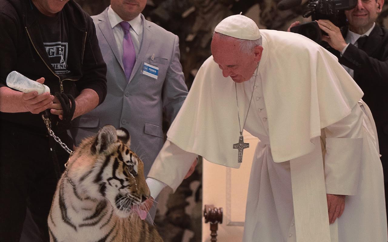 Le pape François caresse un tigre, Jubilé des artistes itinérants, 16 juin 2016 L'Osservatore Romano