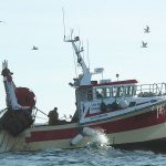 Navire de pêche (image d'illustration) © wikimedia commons