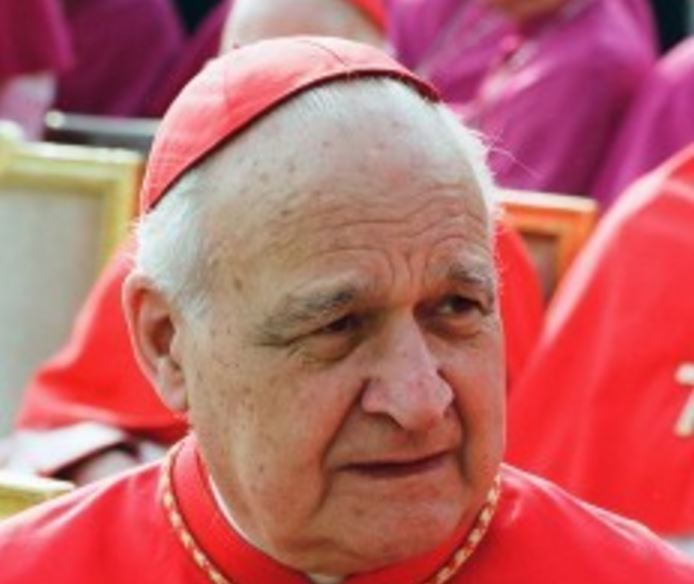 Cardinal Agustoni © Vatican.va