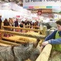 Salon de l'agriculture, Paris 2017 © salon-agriculture.com