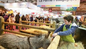 Salon de l'agriculture, Paris 2017 © salon-agriculture.com