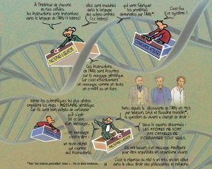 Brunor, Les Indices pensables