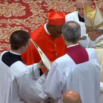 Le card. Zerbo, Consistoire 28/06/2017, capture CTV