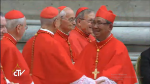 Card. Ling, 28/06/2017, capture CTV