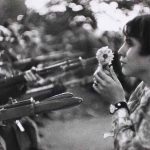 La fleur contre les armes © prieraucoeurdumonde.net