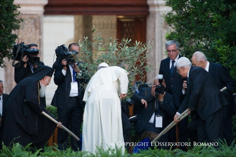 L'olivier de la paix 8 juin 2014 © L'Osservatore Romano