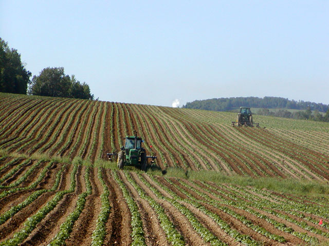 Agriculture © Wikimedia commons / NightThree