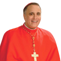 Card. DiNardo, courtoisie du diocèse de Galveston-Houston © archgh.org