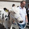 Une vache à l'audience générale, 13/09/2017 © L'Osservatore Romano