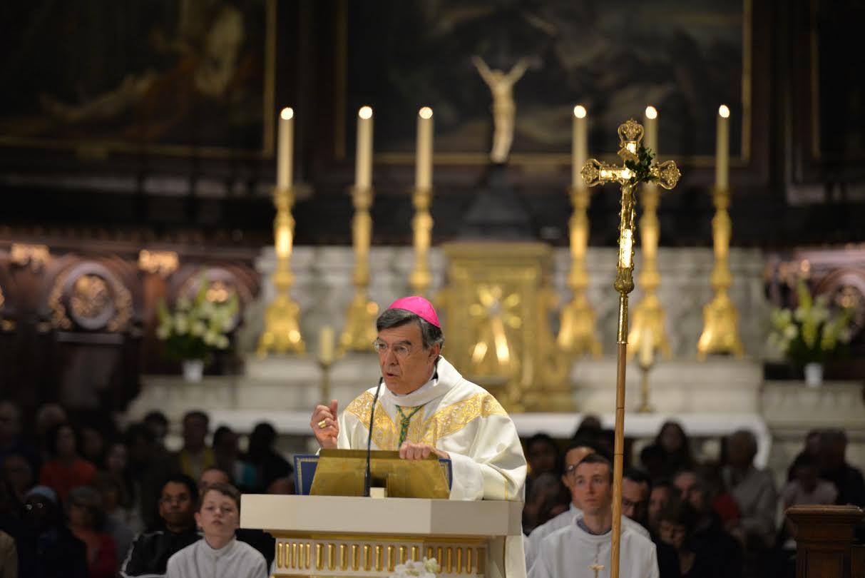 Mgr Michel Aupetit © M.-C. Bertin / diocese-paris