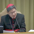 Card. Luis Antonio Tagle © capture de Zenit / Vatican Media