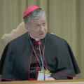 Card. Blase Cupich @Vatican Media