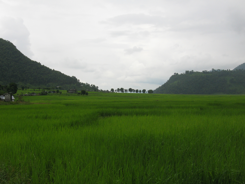 Simara, District de Bara (Népal) @ Wikimedi commons / Jaryiah Khan