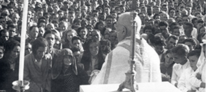 P. Donizetti Tavares de Lima © padredonizetti.com