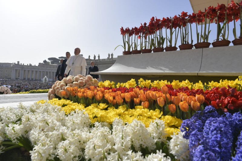 Audience du mercredi de Pâques, 24 avril 2019, fleurs des Pays-Bas © Vatican Media