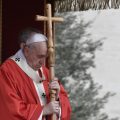 Messe des Rameaux, 14 avril 2019 © Vatican Media