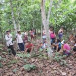 Amazonie @ jesuits.global