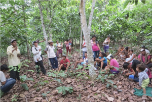 Amazonie @ jesuits.global