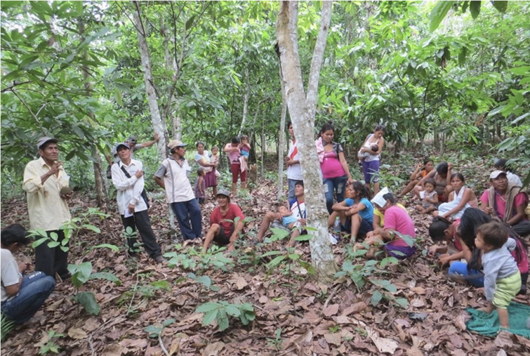 Amazonie @ jesuits.global