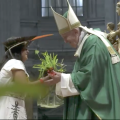 Plantes de l'Amazonie, Synode pur l"Amazonie, offertoire, capture @Vatican Media