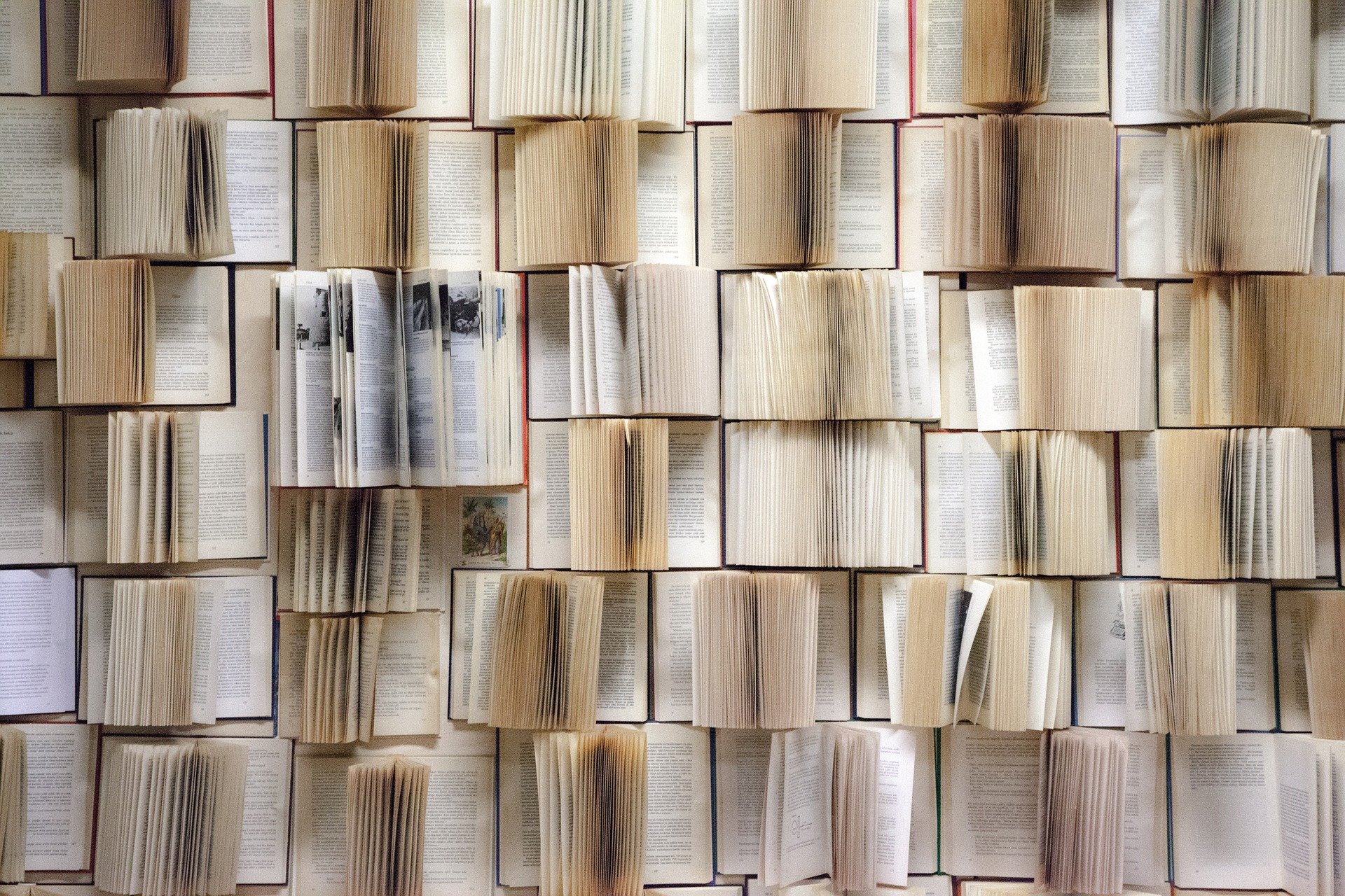 Mur de livres @ kerttu from Pixabay