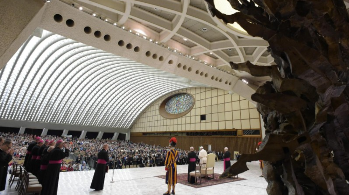 Audience générale du 19 février 2020 © Vatican Media