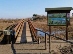 Delta du Pô @ Facebook / La Difesa del Popolo