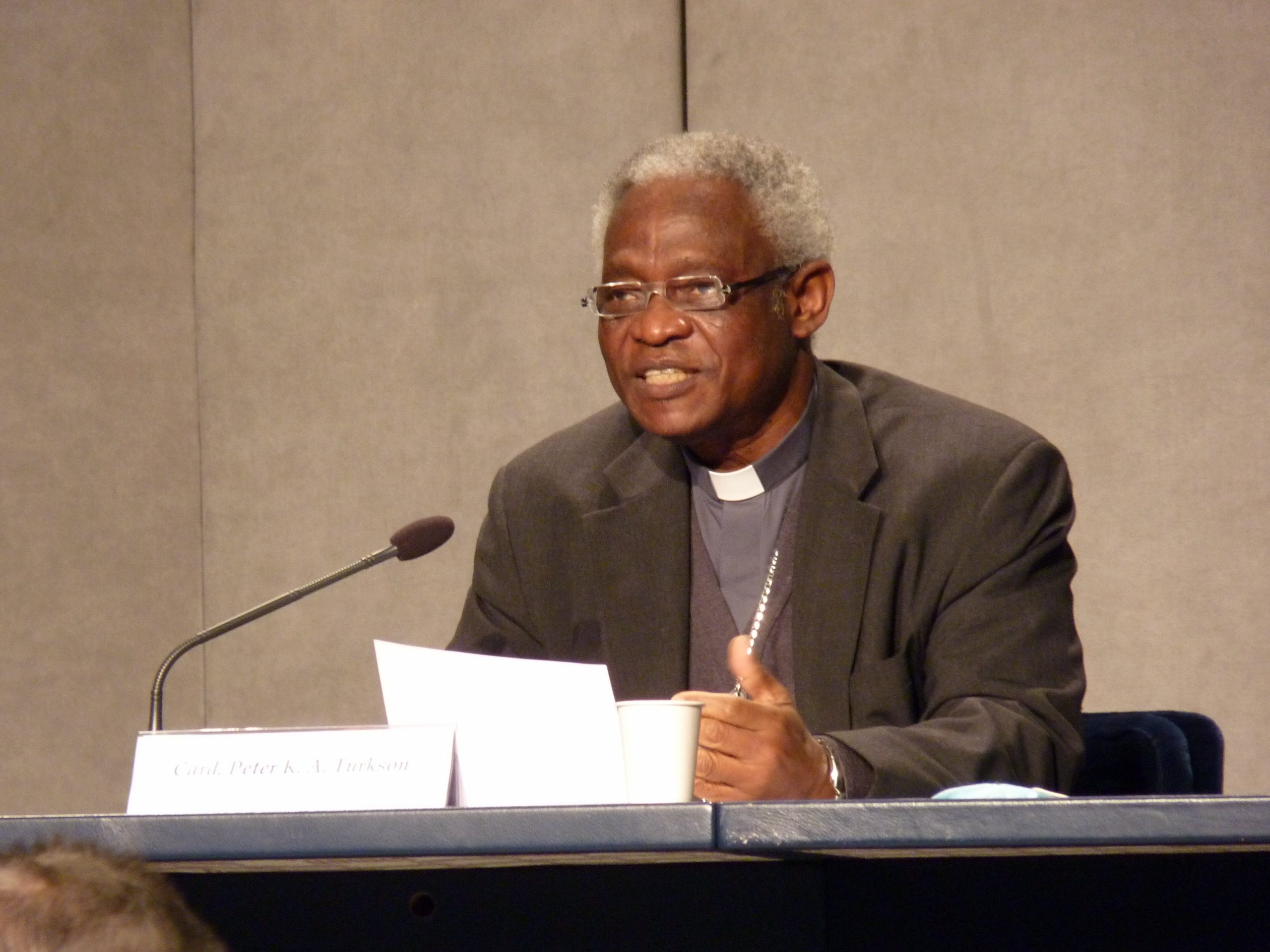 Card. Peter Turkson © @VaticanIHD 