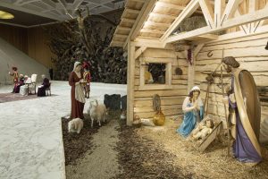 Audience générale, 15 décembre 2021, © Vatican Media