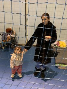 Card. Czerny © Twitter / Dicastère pour le développement humain intégral