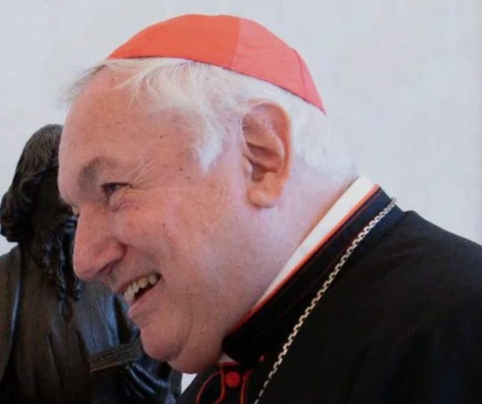Cardinal Jean-Marc Aveline, archevêque de Marseille © Vatican Media