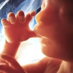 Avortement en France : Prise de parole exceptionnelle du Vatican