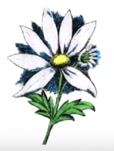 Cette chaîne de prière se fait à travers des petits groupes, appelés « marguerites » © louiselamy2