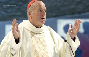 Cardinal Robert Walter McElroy, l'archevêque de San Diego aux États-Unis, membre de conseil consultatif de l'institut pour la non-violence © Vatican Media