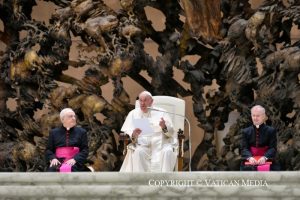 Discours du pape François aux membres de la Fédération italienne des donneurs de sang bénévoles (FIDAS), 9 novembre 2024 © Vatican Media 