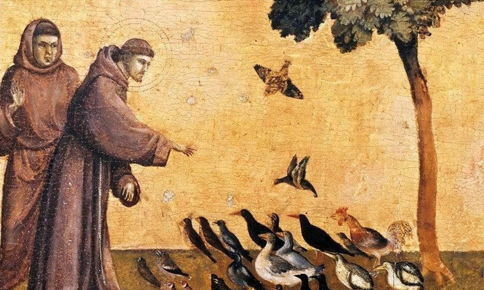 Le sermon aux oiseaux de saint François d'Assise, Giotto (1181-1226) © Wikimedia.org