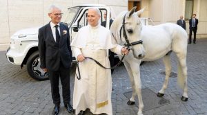 Le cheval s’appelle Proton. C’est un pur-sang arabe © Vatican Media