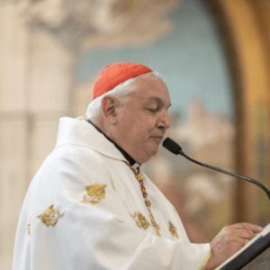 Homélie du cardinal Aveline, messe de clôture © eglise.catholique.fr