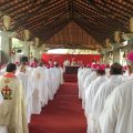 © Fédération biblique catholique