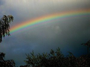 « Regarde l’arc-en-ciel et bénis son créateur, tant il est beau dans son resplendissement » (Si 43,11) (c) 