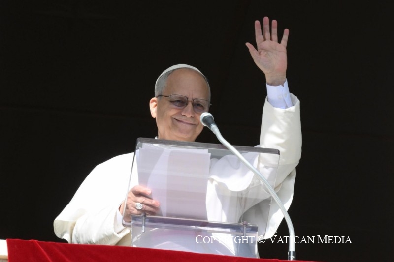 Angelus du 25 janvier 2026 © Vatican Media